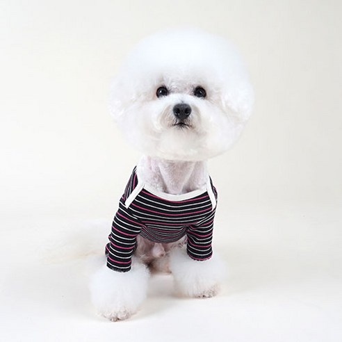 강아지 숄더포인트 올인원, 블랙