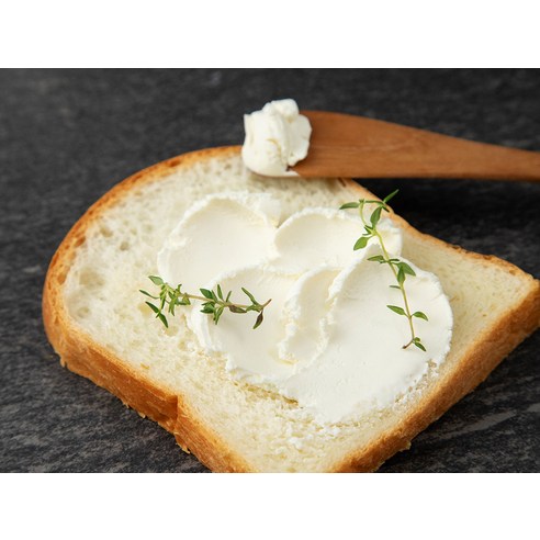 필라델피아 크림치즈로 만나는 특별한 맛의 세계