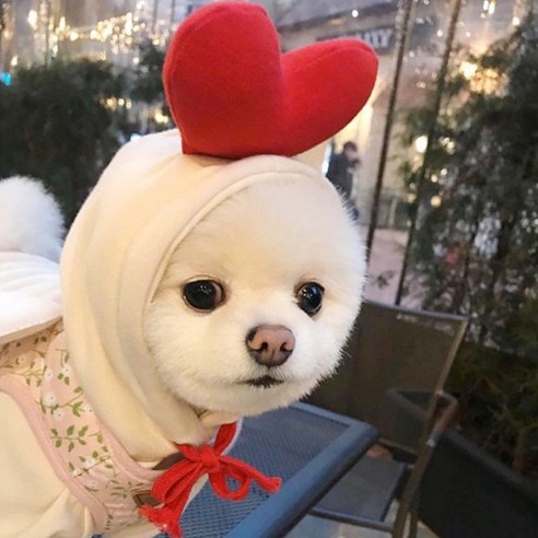 유앤미 반려동물 후드티, 하트