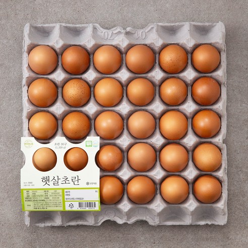 양지뜨레 무항생제 30구 초란 1개 
축산/계란