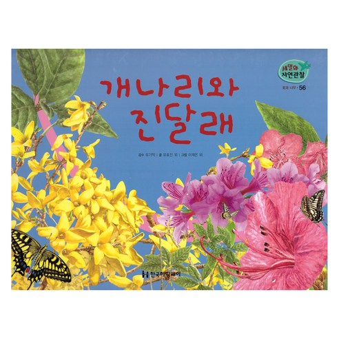 꽃과 나무 56: 개나리와 진달래, 한국헤밍웨이