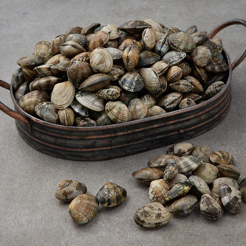 단디프레시 안면도 참바지락, 2.5kg, 1개