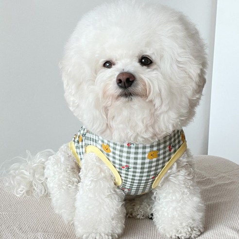 바이담수미 강아지 체크 체리곰 나시, 카키