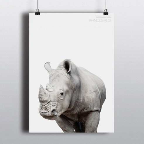 동물그림 포스터 코뿔소 221B