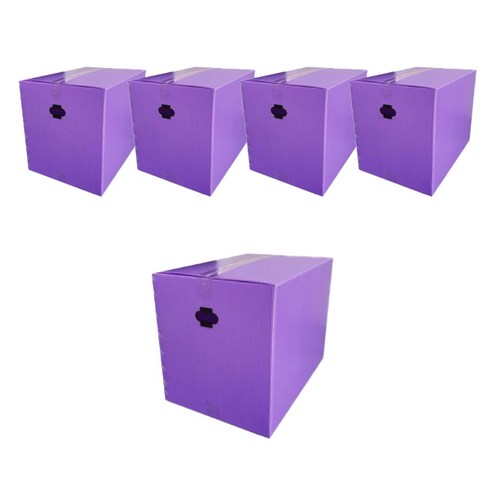 이사박스 5호, 5개, 퍼플