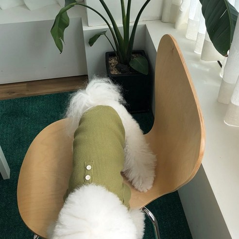 매그독 강아지 패턴 어텀 버튼 티셔츠, 자몽색 강아지옷