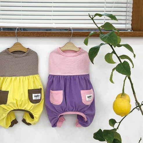 유앤펫 강아지 포켓 붕붕 올인원, 퍼플