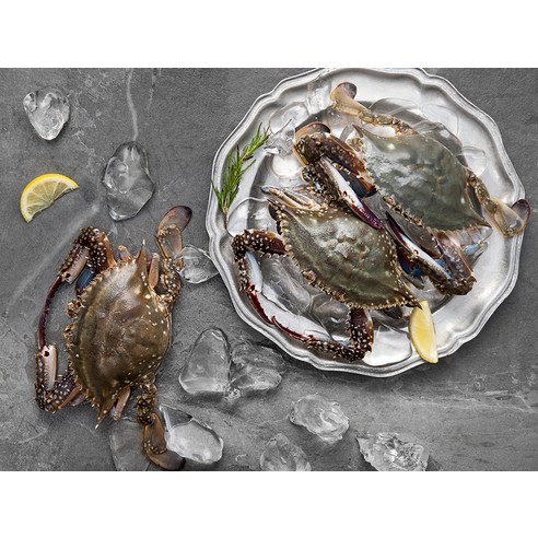 서해의 풍요로움이 담긴, 어부심 알배기 암꽃게