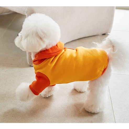 伴侶  寵物產品  小狗  貓  聯合使用  服裝  連帽衫  狗  狗  狗