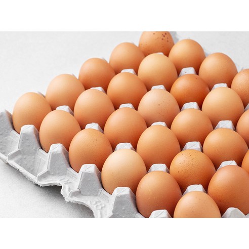신선하고 안전한 우리 집 계란
