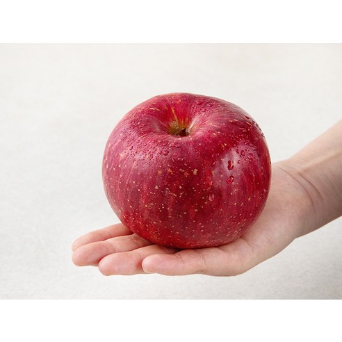 달콤과 시원의 만남, 다조은 사과 + 배 세트