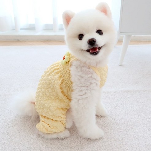 강아지 엠보싱 호박 올인원, 옐로우