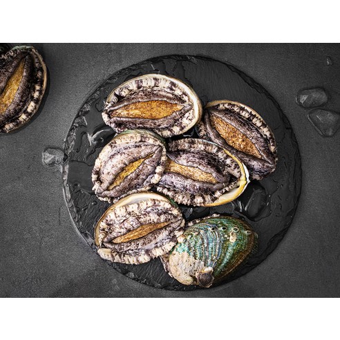 바다의 신선함을 집에서 편안하게 즐기세요