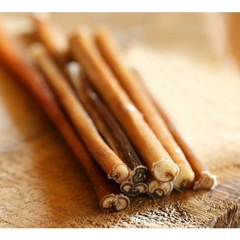 강아지의 행복을 위한 최고의 선택!