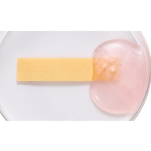 향기로운 머릿결과 건강한 두피를 위한 선택, 로더렛 컬러 핏 헤어 비오틴 약산성 퍼퓸 샴푸