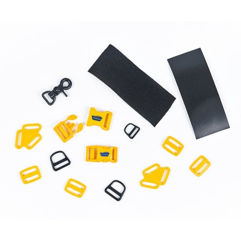 사랑하는 반려견과의 편안한 산책