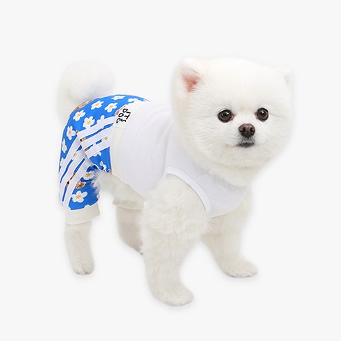 이츠독 반려동물 테디 블라썸 올인원, 백수블루