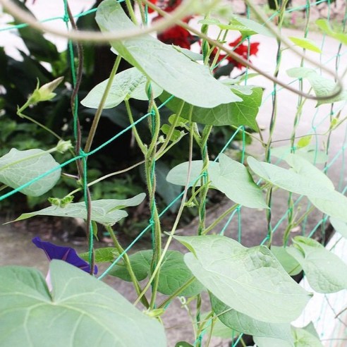 園藝 園藝 用品 園藝 花園 裝飾 圍欄 圍欄 裝飾 裝飾