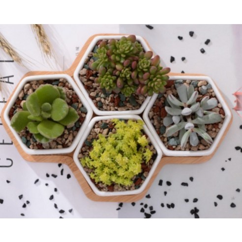 家具  FURNITURES  收納  收納  花盆架  花盆收納  花盆展示架  花盆架  花盆收納架