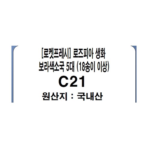 로즈피아 생화 소국: 화려하고 우아한 아름다움