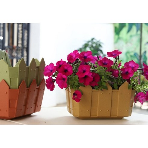 園藝 園藝 用品 園藝 花盆 園藝 花盆 花盆 花盆