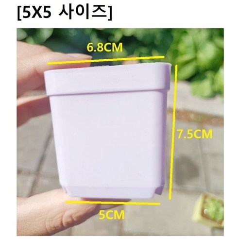 園藝 園藝 用品 園藝 花盆 園藝 花盆 花盆 花盆