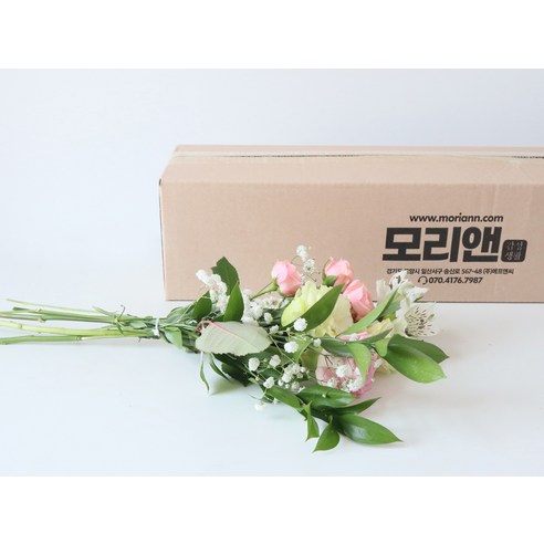 화사하고 매력적인 생화로 공간에 생기를 불어넣는 모리앤 생화 랜덤박스