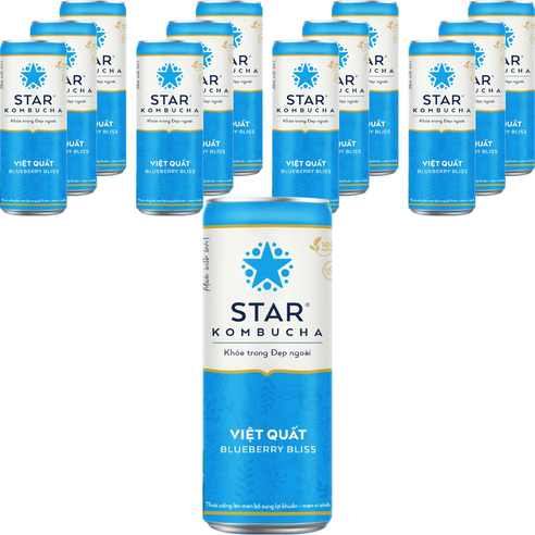 스타콤부차 블루베리 블리스, 250ml, 6개