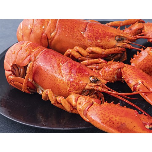 편리한 냉동 자숙 바다가재로 집에서 고급 미식을 즐겨보세요.