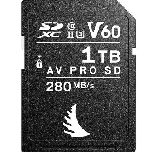 엔젤버드 AV PRO SD MK2 V60 메모리카드 CLASS10 AVP1T0SDMK2V60, 1TB