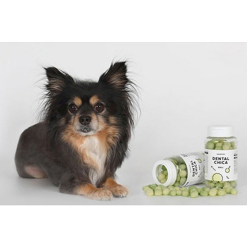 맛있는 즐거움과 치아 건강을 한 번에! 닥터바이 강아지 덴탈 치카볼