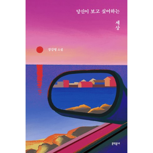 당신이 보고 싶어하는 세상, 문학동네, 장강명