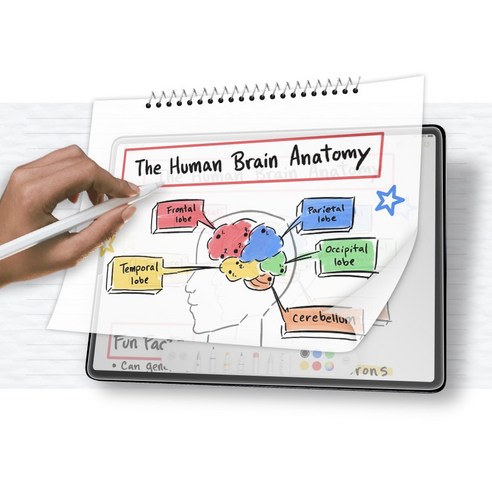 편안한 필기 경험과 최고 수준의 보호를 위한 스코코 종이질감 태블릿 액정보호필름