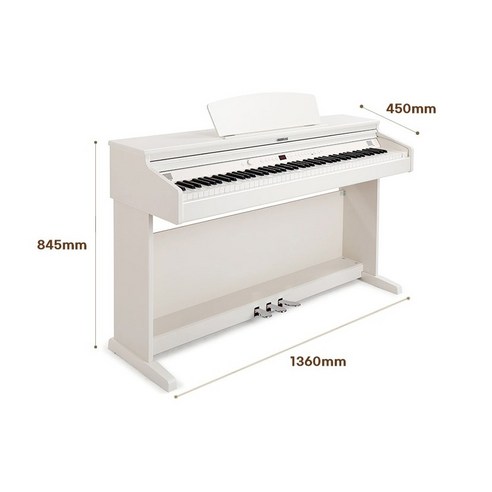 음악의 새로운 동반자