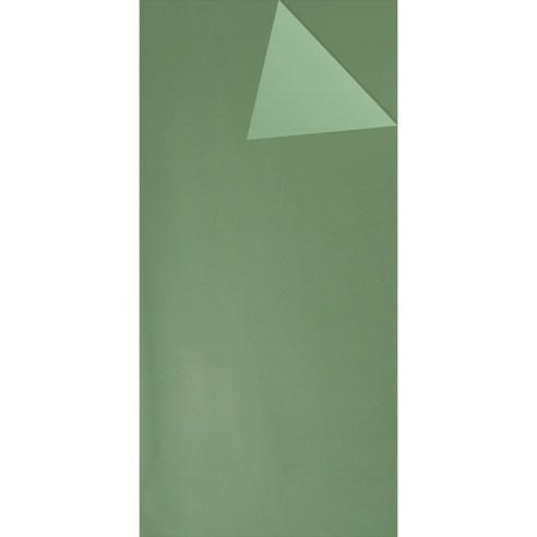 아이엔피 꽃포장 양면 플로드지 58 x 58 cm 20p, 03 녹색 + 에머랄드, 2개