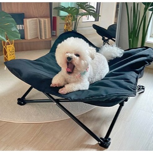 편리하고 안락한 강아지 캠핑 생활을 위한 완벽한 동반자