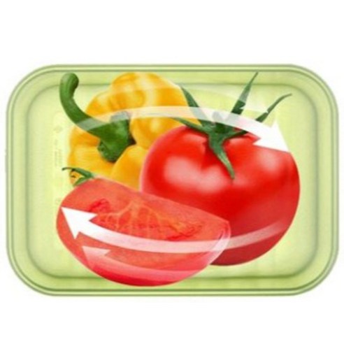 신선함을 유지하는 완벽한 밀폐용기