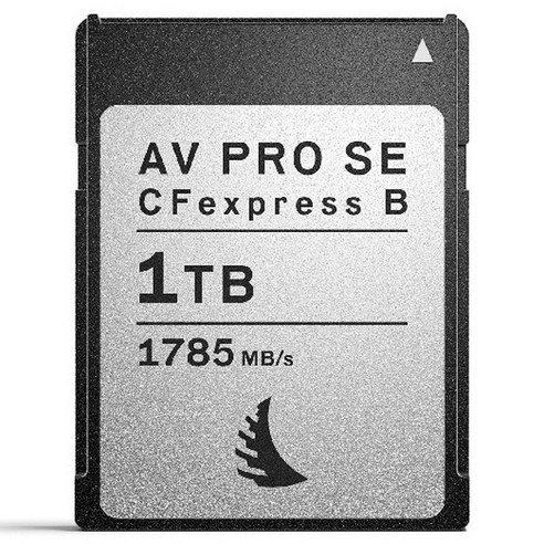 엔젤버드 메모리카드 AV PRO CFexpress SE Type B, 1TB