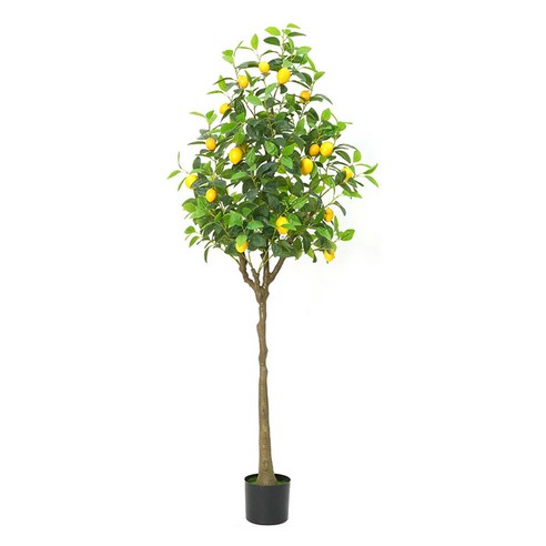 마쉬매리골드 인테리어 인조나무 레몬열매나무 180cm, 그린, 1개