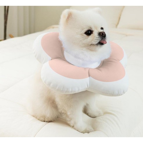 레토 반려동물 플라워 방수 초경량 넥카라: 반려동물의 편안함과 스타일을 위한 최고의 선택