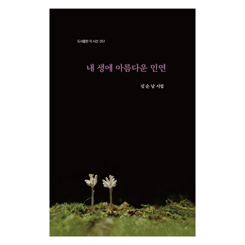 내 생에 아름다운 인연, 각, 김순남 김보배작가