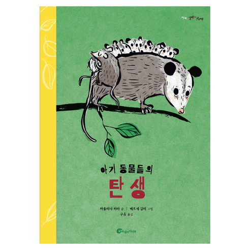 아기 동물들의 탄생, 바람의아이들, 파울리나 하라