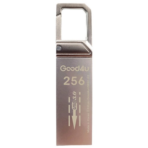 굿포유 G3 USB3.0 메모리, 1개, 256GB
