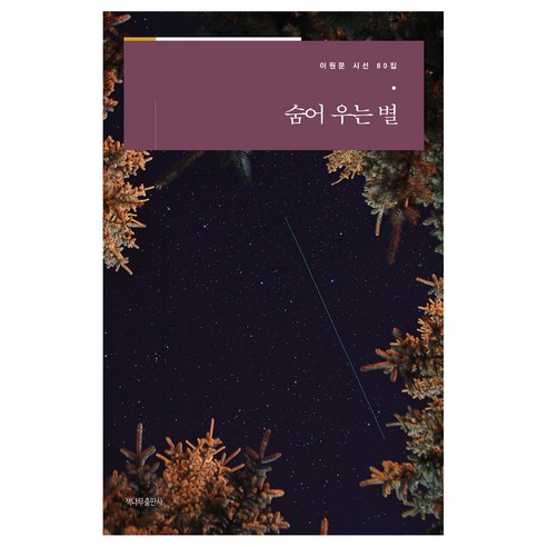 李元文 《隱藏的哭泣之星》 Chaeknamu Publishing 9788963397276
