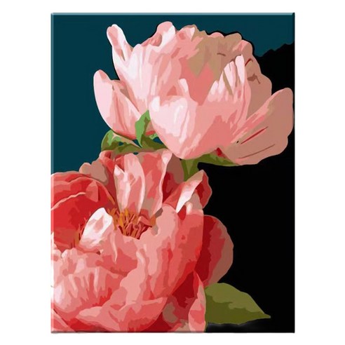 모모픽스페인팅 DIY명화그리기 40 x 50 cm, I76 두송이 모란꽃, 1개