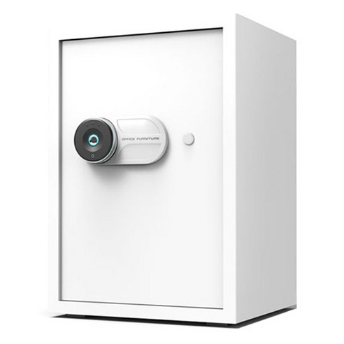 잃어버린 물건 때문에 매번 속앓이 하셨나요? 엘르시 금고로 불안감, 이제 안녕! 지문인식금고