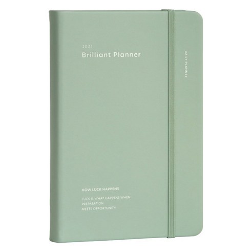 아이코닉 2025 브릴리언트 데일리 플래너, 05 Vintage mint, 05 Vintage mint, 1개