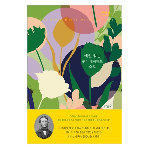 매일 읽는 헨리 데이비드 소로(큰글자도서), 헨리 데이비드 소로우, 니케북스