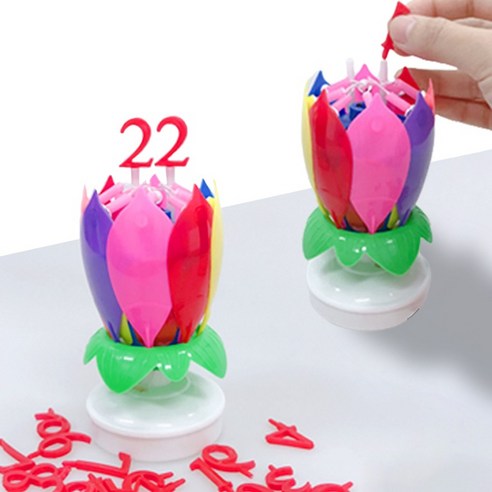 마법 같은 연꽃 초로 특별한 순간을 더욱 빛나게