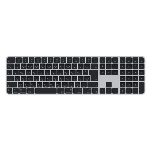Apple 2024 Touch ID 숫자 키패드 Magic Keyboard, 블랙, MXK83CJ/A